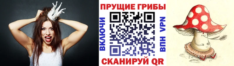 Псилоцибиновые грибы MAGIC MUSHROOMS Ессентуки