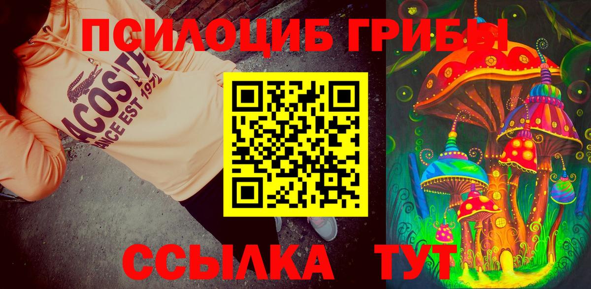 Галлюциногенные грибы Psilocybine cubensis Ессентуки